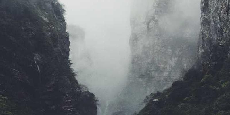 Khám phá ẩm thực chay sáng tạo - Phần 3