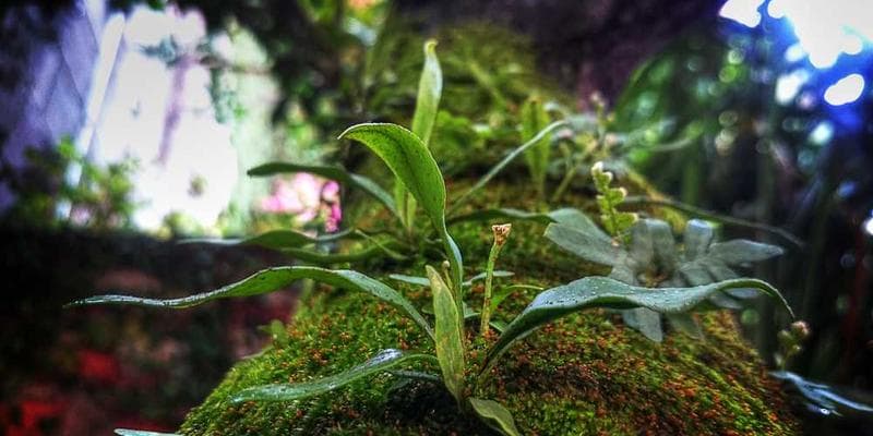 Kinh nghiệm du lịch Châu Á - Phần 3